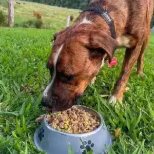 Chef Inspired Dog Food 10kg